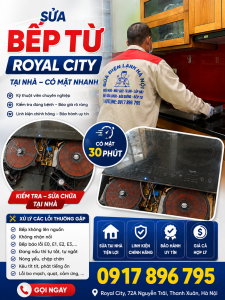 Sửa Bếp Từ Royal City Tại Nhà – Có Mặt Nhanh